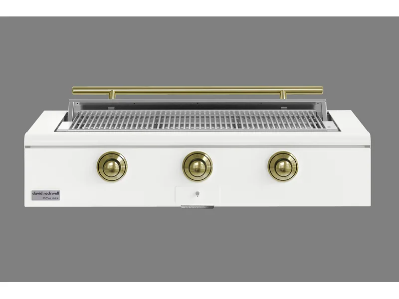 True Caliber Rockwell 48" Built-In Grill (Natural Gas) - Image 22