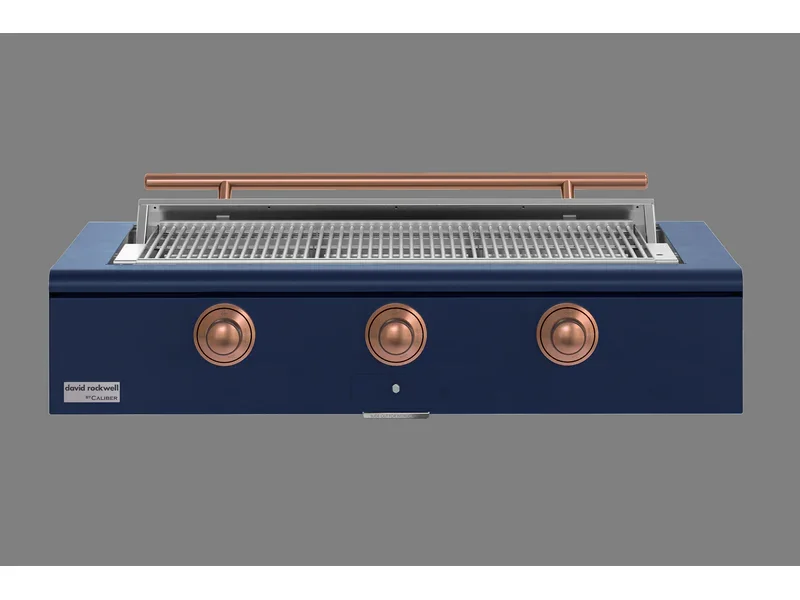 True Caliber Rockwell 48" Built-In Grill (Natural Gas) - Image 53