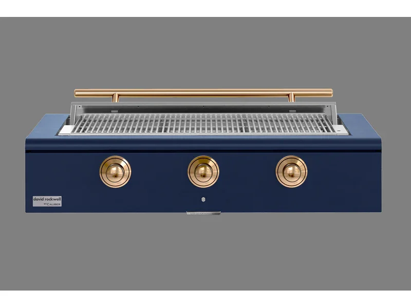True Caliber Rockwell 48" Built-In Grill (Natural Gas) - Image 81